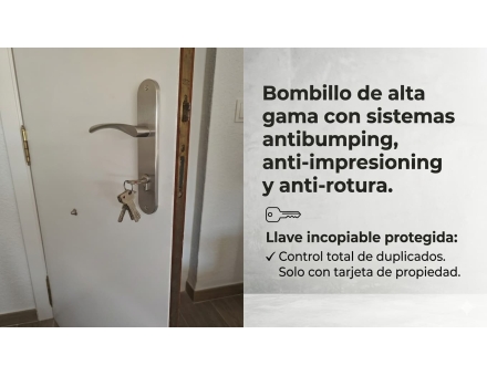 Imagen de noticia 11